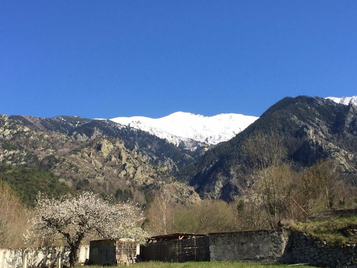 Villa Sarl L'Alzina Vernet-les-Bains Exterior foto